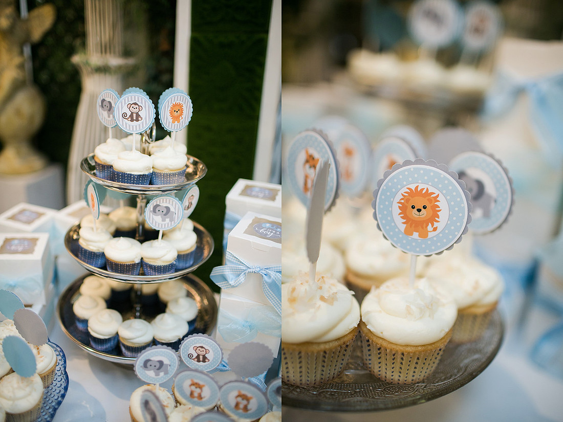Maritha_Robbie_BabyShower_09.04.2016-1