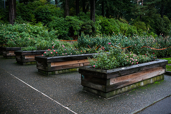 OREGON_SANDIEGO-87