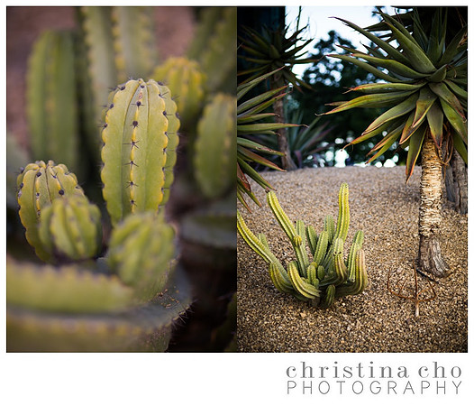 CHRISTINACHOPHOTOGRAPHY_0616