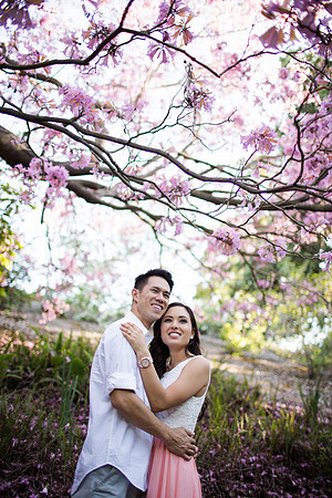 HaroldTiffany_Engaged2015-32