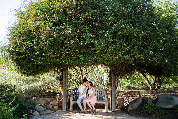 HaroldTiffany_Engaged2015-49