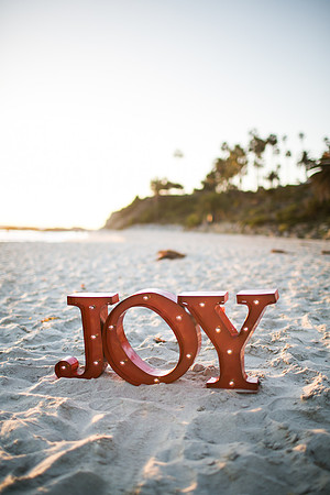 Nguyen_Family_Session_Laguna_Beach_2015-44