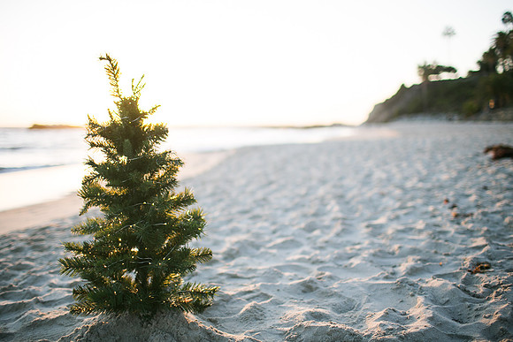Nguyen_Family_Session_Laguna_Beach_2015-46