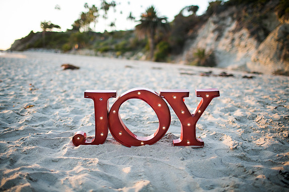 Nguyen_Family_Session_Laguna_Beach_2015-45