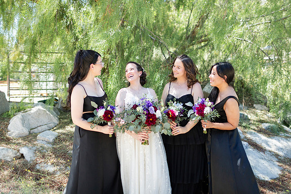 Gabe_Ali_Wedding_Reptacular_6.22.24-513
