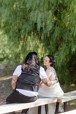 Gabe_Ali_Wedding_Reptacular_6.22.24-581