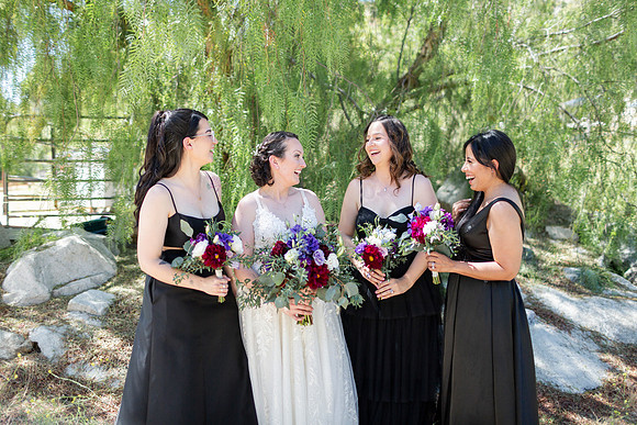 Gabe_Ali_Wedding_Reptacular_6.22.24-514