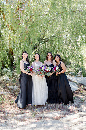 Gabe_Ali_Wedding_Reptacular_6.22.24-510