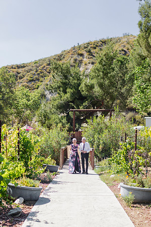Gabe_Ali_Wedding_Reptacular_6.22.24-522