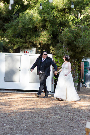 Gabe_Ali_Wedding_Reptacular_6.22.24-369
