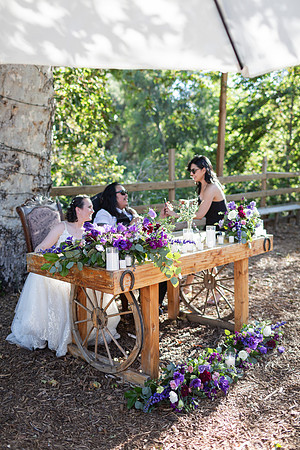 Gabe_Ali_Wedding_Reptacular_6.22.24-377