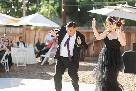 Gabe_Ali_Wedding_Reptacular_6.22.24-367