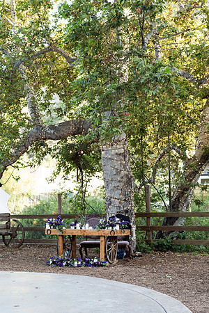 Gabe_Ali_Wedding_Reptacular_6.22.24-436