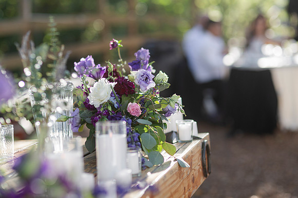 Gabe_Ali_Wedding_Reptacular_6.22.24-392