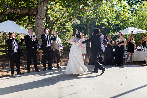 Gabe_Ali_Wedding_Reptacular_6.22.24-375