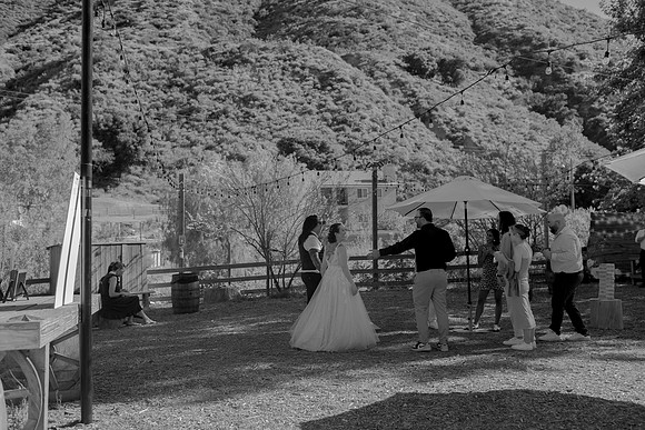 Gabe_Ali_Wedding_Reptacular_6.22.24-333