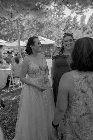 Gabe_Ali_Wedding_Reptacular_6.22.24-351