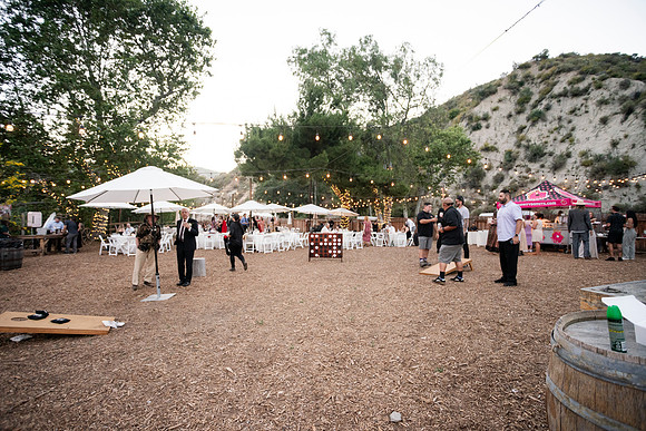 Gabe_Ali_Wedding_Reptacular_6.22.24-448