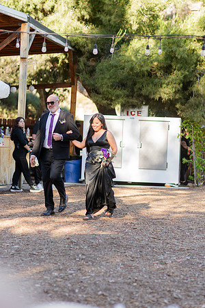 Gabe_Ali_Wedding_Reptacular_6.22.24-364