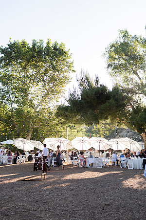 Gabe_Ali_Wedding_Reptacular_6.22.24-394