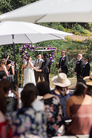 Gabe_Ali_Wedding_Reptacular_6.22.24-287
