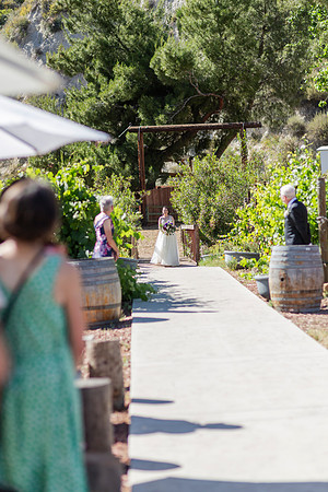 Gabe_Ali_Wedding_Reptacular_6.22.24-273