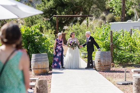 Gabe_Ali_Wedding_Reptacular_6.22.24-275