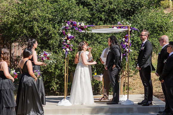 Gabe_Ali_Wedding_Reptacular_6.22.24-311