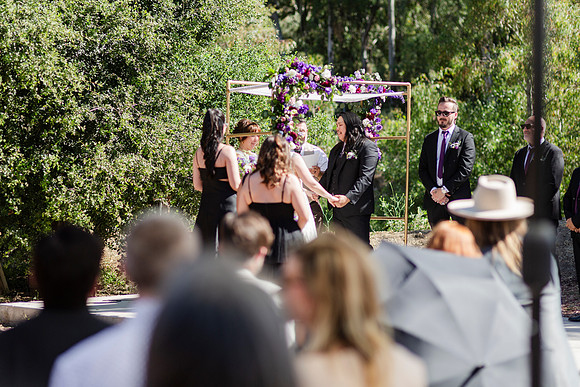 Gabe_Ali_Wedding_Reptacular_6.22.24-288