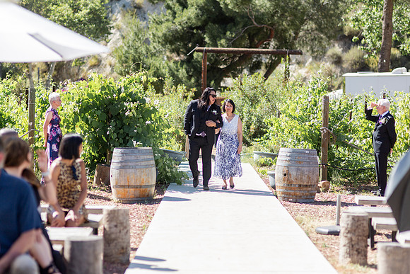 Gabe_Ali_Wedding_Reptacular_6.22.24-263