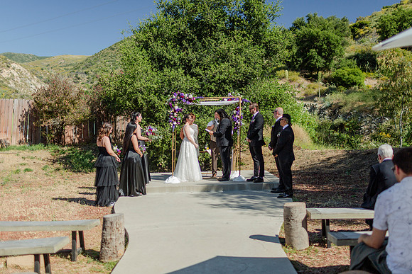 Gabe_Ali_Wedding_Reptacular_6.22.24-301