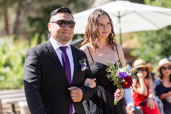 Gabe_Ali_Wedding_Reptacular_6.22.24-272