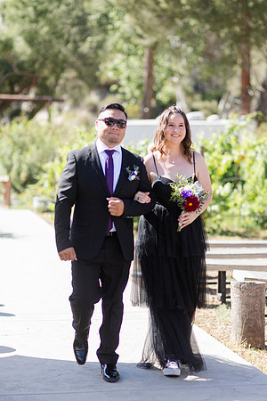 Gabe_Ali_Wedding_Reptacular_6.22.24-270