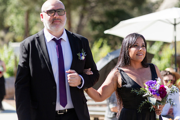 Gabe_Ali_Wedding_Reptacular_6.22.24-269