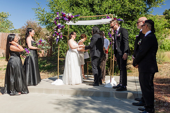 Gabe_Ali_Wedding_Reptacular_6.22.24-295