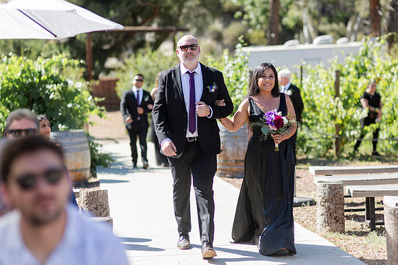 Gabe_Ali_Wedding_Reptacular_6.22.24-268