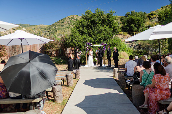 Gabe_Ali_Wedding_Reptacular_6.22.24-305