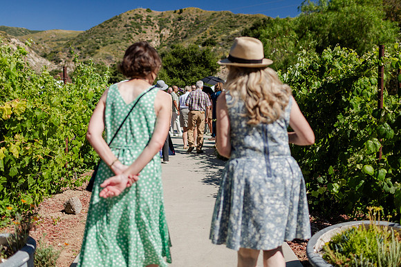 Gabe_Ali_Wedding_Reptacular_6.22.24-245