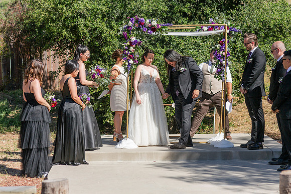 Gabe_Ali_Wedding_Reptacular_6.22.24-312