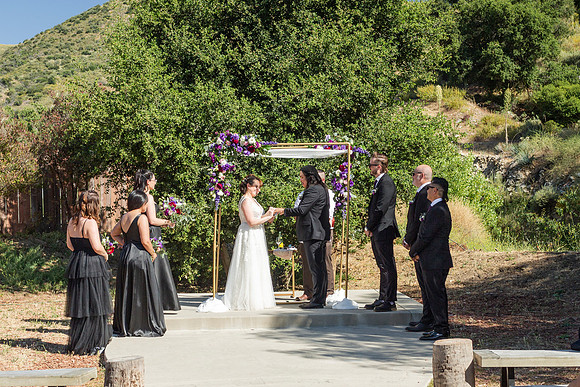 Gabe_Ali_Wedding_Reptacular_6.22.24-310