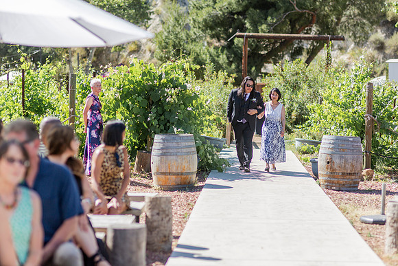 Gabe_Ali_Wedding_Reptacular_6.22.24-262