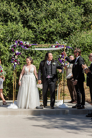 Gabe_Ali_Wedding_Reptacular_6.22.24-317