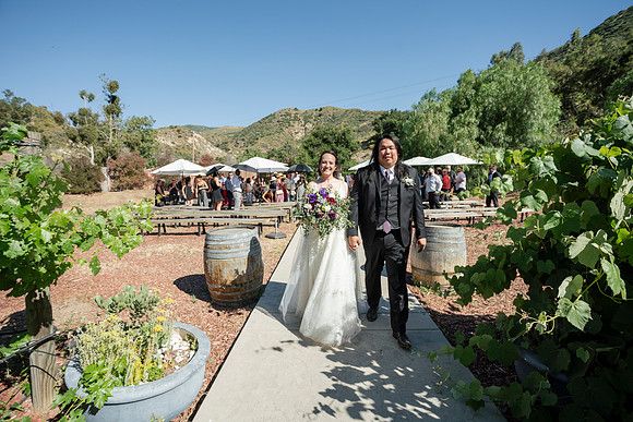 Gabe_Ali_Wedding_Reptacular_6.22.24-326