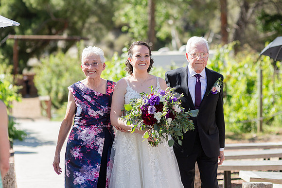 Gabe_Ali_Wedding_Reptacular_6.22.24-278