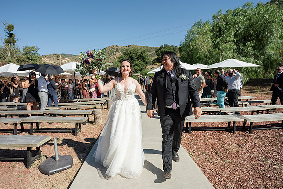 Gabe_Ali_Wedding_Reptacular_6.22.24-322