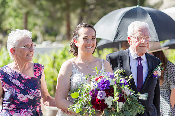 Gabe_Ali_Wedding_Reptacular_6.22.24-279