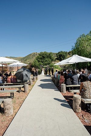 Gabe_Ali_Wedding_Reptacular_6.22.24-293
