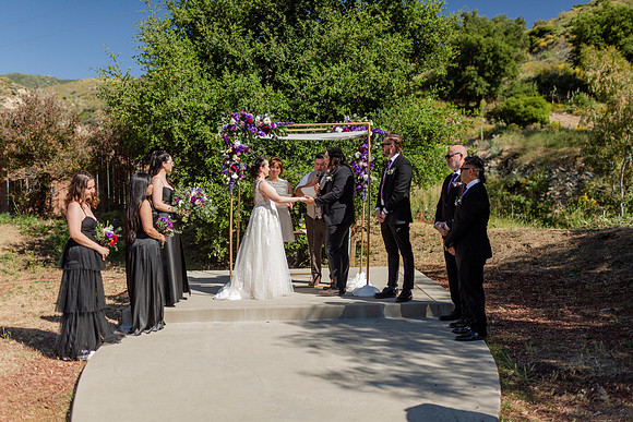 Gabe_Ali_Wedding_Reptacular_6.22.24-285