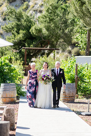 Gabe_Ali_Wedding_Reptacular_6.22.24-276