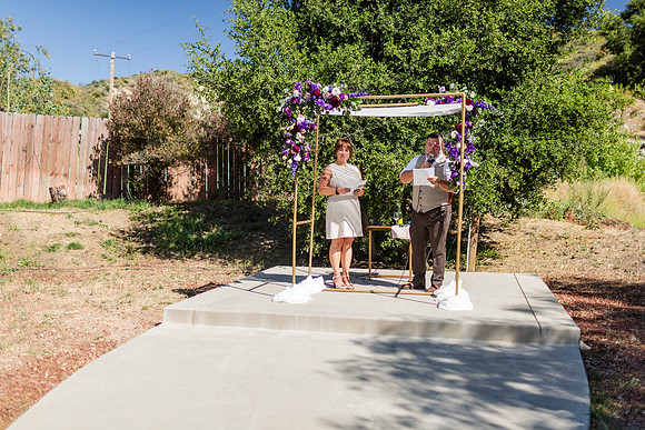 Gabe_Ali_Wedding_Reptacular_6.22.24-261